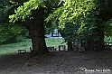 VBS_4924 - Il bosco fatato - Montaldo Roero